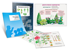 Комплект кодотранспарантов "Культурные растения" - fgospostavki.ru - Мегион