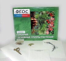 Гербарий "Основные группы растений" (52 листа) - fgospostavki.ru - Мегион