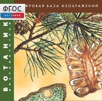 Ботаника. Микрофотографии. (Цифровая база изображений) - fgospostavki.ru - Мегион