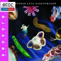 Биология. Микрофотографии. (Цифровая база изображений) - fgospostavki.ru - Мегион