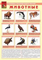 Комплект плакатов "Красная Книга России (животные, растения)" - fgospostavki.ru - Мегион