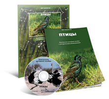 Электронное наглядное пособие «Птицы» - fgospostavki.ru - Мегион