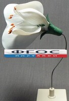 Модель "Цветок гороха" - fgospostavki.ru - Мегион