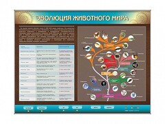 Интерактивный электрифицированный стенд "Эволюция животного мира" - fgospostavki.ru - Мегион