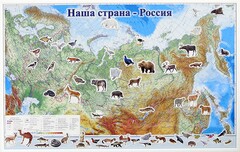 Магнитные карточки "Животные" - fgospostavki.ru - Мегион