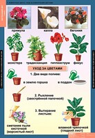 Комплект таблиц. Окружающий мир 1 класс. - fgospostavki.ru - Мегион