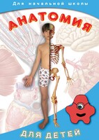 DVD "Анатомия для детей" - fgospostavki.ru - Мегион