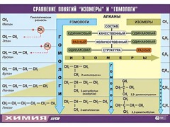 Таблица демонстрационная "Сравнение понятий изомер и гомолог" (винил 70x100) - fgospostavki.ru - Мегион