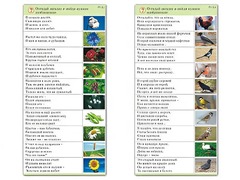 Комплект карточек (10) "Обучающий калейдоскоп. Природа" - fgospostavki.ru - Мегион