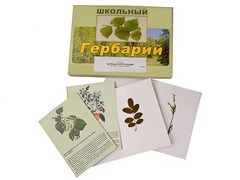 Гербарий "Деревья и кустарники" (22 вида, с иллюстрациями) - fgospostavki.ru - Мегион