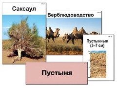Модель-аппликация "Природные зоны России" (ламинированная) - fgospostavki.ru - Мегион
