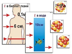 Модель-аппликация "Явление радиоактивности" (ламинированная) - fgospostavki.ru - Мегион