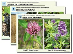 Гербарий фотографический "Сельскохозяйственные растения России" - fgospostavki.ru - Мегион