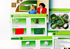 Коллекция "Шелк и продукты его переработки" (средняя школа) - fgospostavki.ru - Мегион