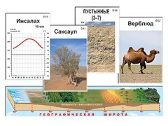 Модель-аппликация "Природные зоны" - fgospostavki.ru - Мегион