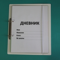 Дневник школьника (с полным набором карточек) - fgospostavki.ru - Мегион