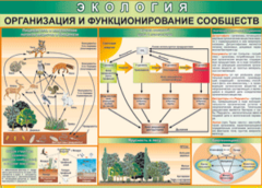 Таблица "Организация и функционирование сообществ" (100х140 сантиметров, винил) - fgospostavki.ru - Мегион