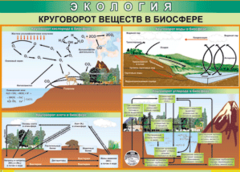 Таблица "Круговорот веществ в биосфере" (100х140 сантиметров, винил) - fgospostavki.ru - Мегион