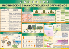 Таблица "Биотические взаимоотношения организмов" (100х140 сантиметров, винил) - fgospostavki.ru - Мегион
