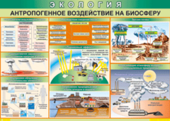 Таблица "Антропогенное воздействие на биосферу" (100х140 сантиметров, винил) - fgospostavki.ru - Мегион