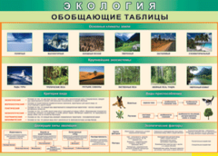 Таблица "Экология. Обобщающие таблицы" (100х140 сантиметров, винил) - fgospostavki.ru - Мегион