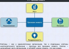 Интерактивные курсы. Биология 5 класс. Базовый - fgospostavki.ru - Мегион