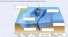 Интерактивные курсы. География 7 класс . Базовый. - fgospostavki.ru - Мегион