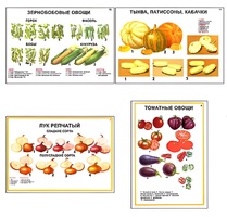 Плакаты ПРОФТЕХ "Ассортимент овощных культур" (12 пл, винил, 70х100) - fgospostavki.ru - Мегион