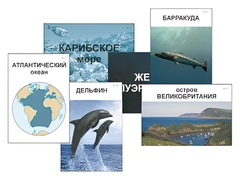 Модель-аппликация "Океаны. Знакомство" (ламинированная) - fgospostavki.ru - Мегион