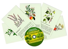 Интерактивный наглядный комплекс "Гербарий "Для начальной школы" - fgospostavki.ru - Мегион