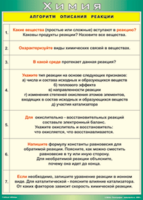 Таблица "Алгоритм описания реакции" (100х140 сантиметров, винил) - fgospostavki.ru - Мегион