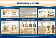 Стенд "Иммобилизация" - fgospostavki.ru - Мегион