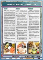 Стенд "Белки. Жиры. Углеводы" - fgospostavki.ru - Мегион
