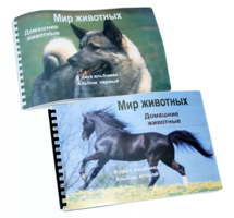 Пособие для слабовидящих - Домашние животные - fgospostavki.ru - Мегион