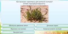Интерактивные курсы. Окружающий мир 3 класс . Базовый. - fgospostavki.ru - Мегион