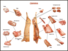 Таблица "Правила разделки мясных туш. Свинина" (100х140 сантиметров. винил) - fgospostavki.ru - Мегион