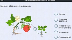Интерактивные курсы. Биология 7 класс. Расширенный. - fgospostavki.ru - Мегион
