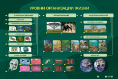 Электрифицированный стенд "Уровни организации жизни" - fgospostavki.ru - Мегион