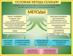 Стенд "Методы селекции и биотехнологии" - fgospostavki.ru - Мегион
