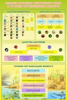 Стенд "Классификация животного мира" - fgospostavki.ru - Мегион