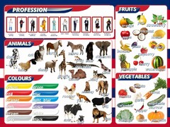 Стенд "Цвета, животные, профессии, фрукты, овощи" - fgospostavki.ru - Мегион