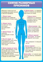 Стенд "Снятие мерок" Вариант 2 - fgospostavki.ru - Мегион