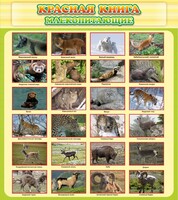 Стенд "Красная книга - млекопитающие" - fgospostavki.ru - Мегион