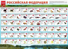 Стенд "Красная книга РФ" - fgospostavki.ru - Мегион