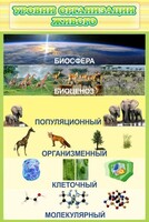 Стенд "Уровни организации живого" - fgospostavki.ru - Мегион