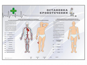 Электрифицированный стенд "Остановка кровотечения" - fgospostavki.ru - Мегион