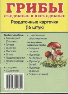 Раздаточные карточки "Грибы съедобные и не съедобные" - fgospostavki.ru - Мегион
