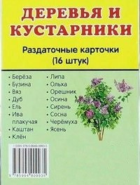 Раздаточные карточки "Деревья и кустарники" - fgospostavki.ru - Мегион