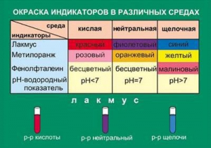Таблица. Окраска индикаторов в различных средах. - fgospostavki.ru - Мегион