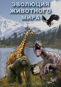 DVD "Эволюция животного мира" - fgospostavki.ru - Мегион
